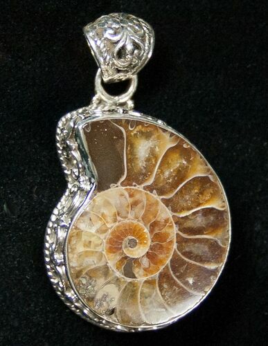 Fossil Ammonite Pendant - Sterling Silver #16785